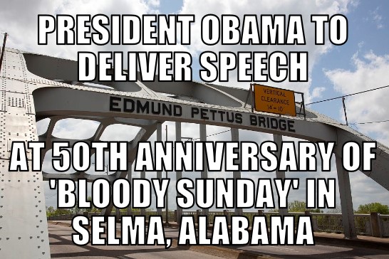 Selma 50th