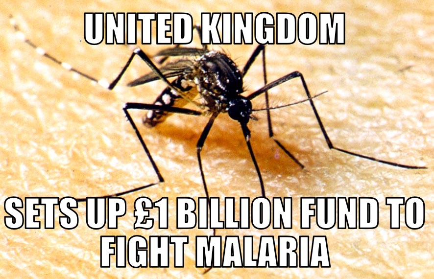 UK Malaria fund