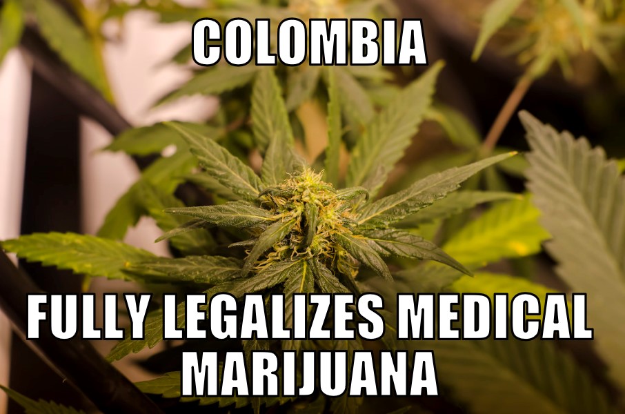 Colombia medical marijuana