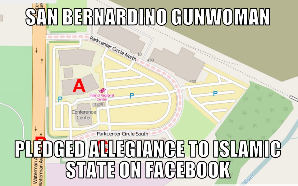 San Bernardino Gunwoman pledged allegiance to Islamic State