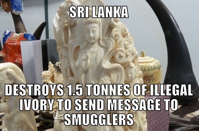 Sri Lanka destroys ivory