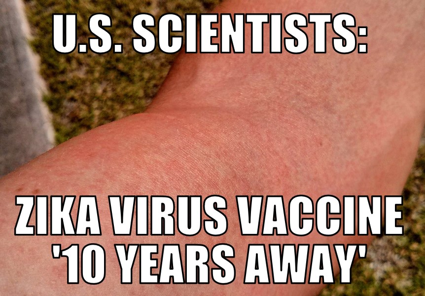 Zika virus vaccine