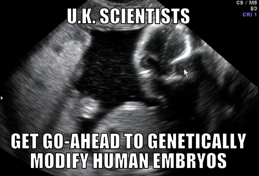 Genetically modified human embryos