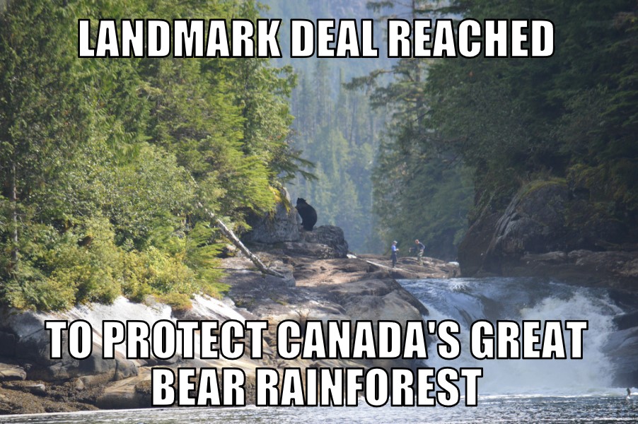 Great Bear Rainforest deal