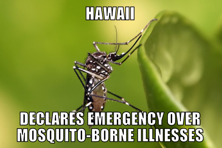 Hawaii mosquito emergency