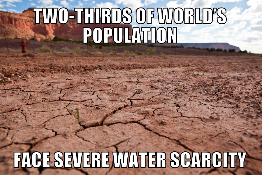 World water scarcity
