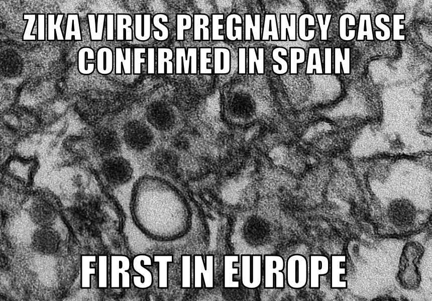Spain Zika pregnancy