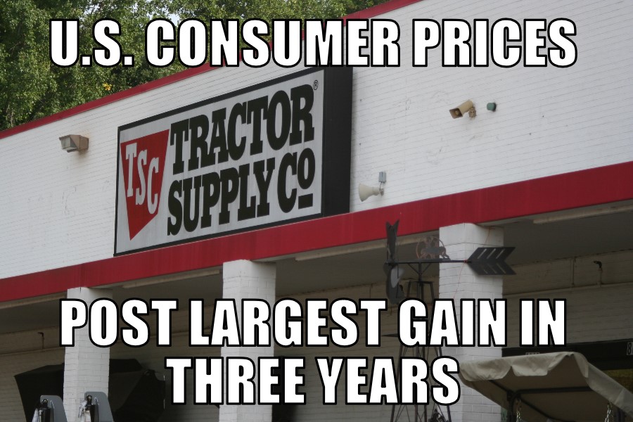 U.S. Consumer Prices Up