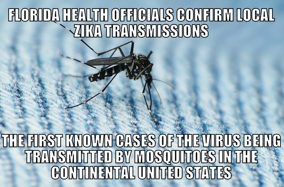 Florida Zika transmissions