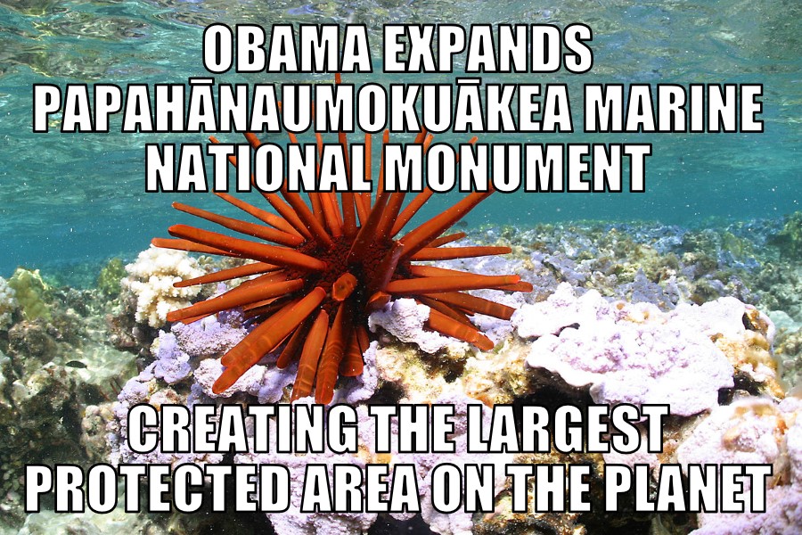 Obama creates largest protected area on the planet