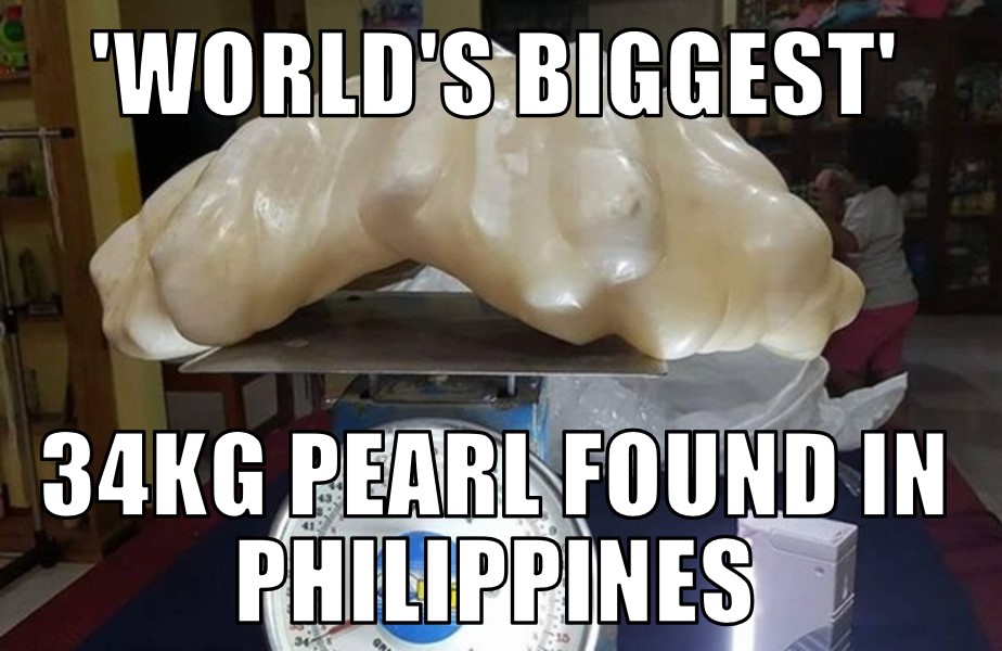 ‘World’s biggest’ pearl