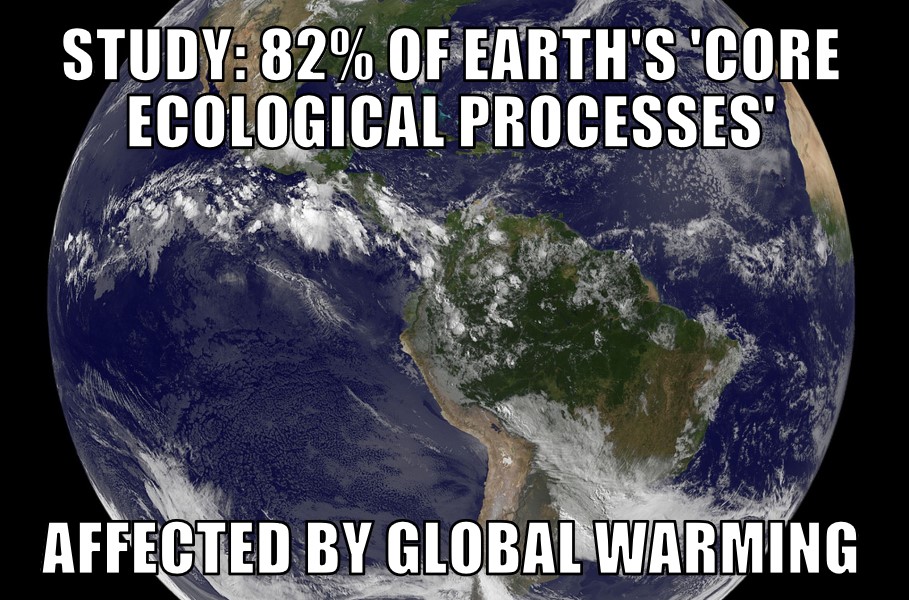 Global warming effects