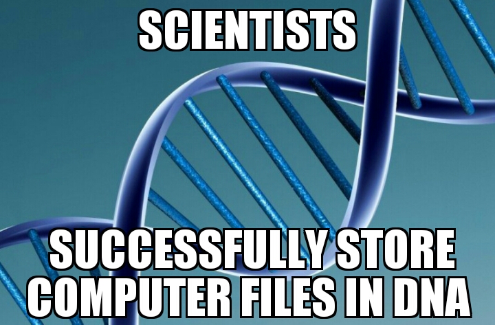 Computer programs successfully stored in DNA