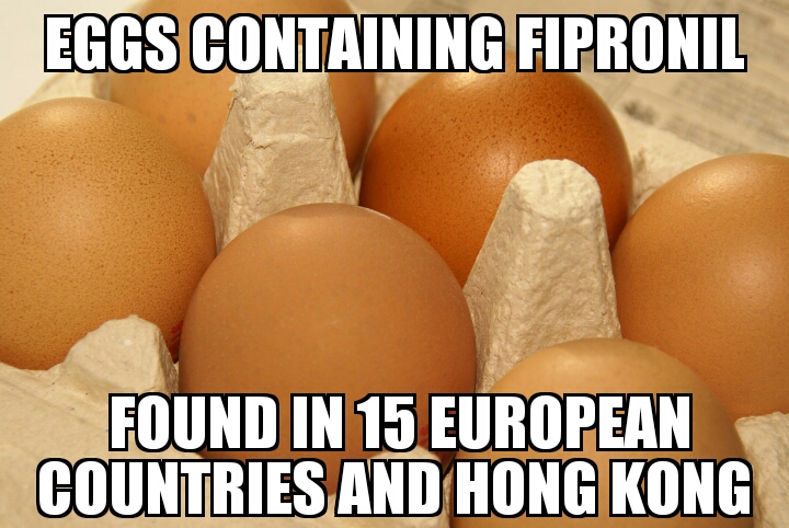 European egg scandal widens