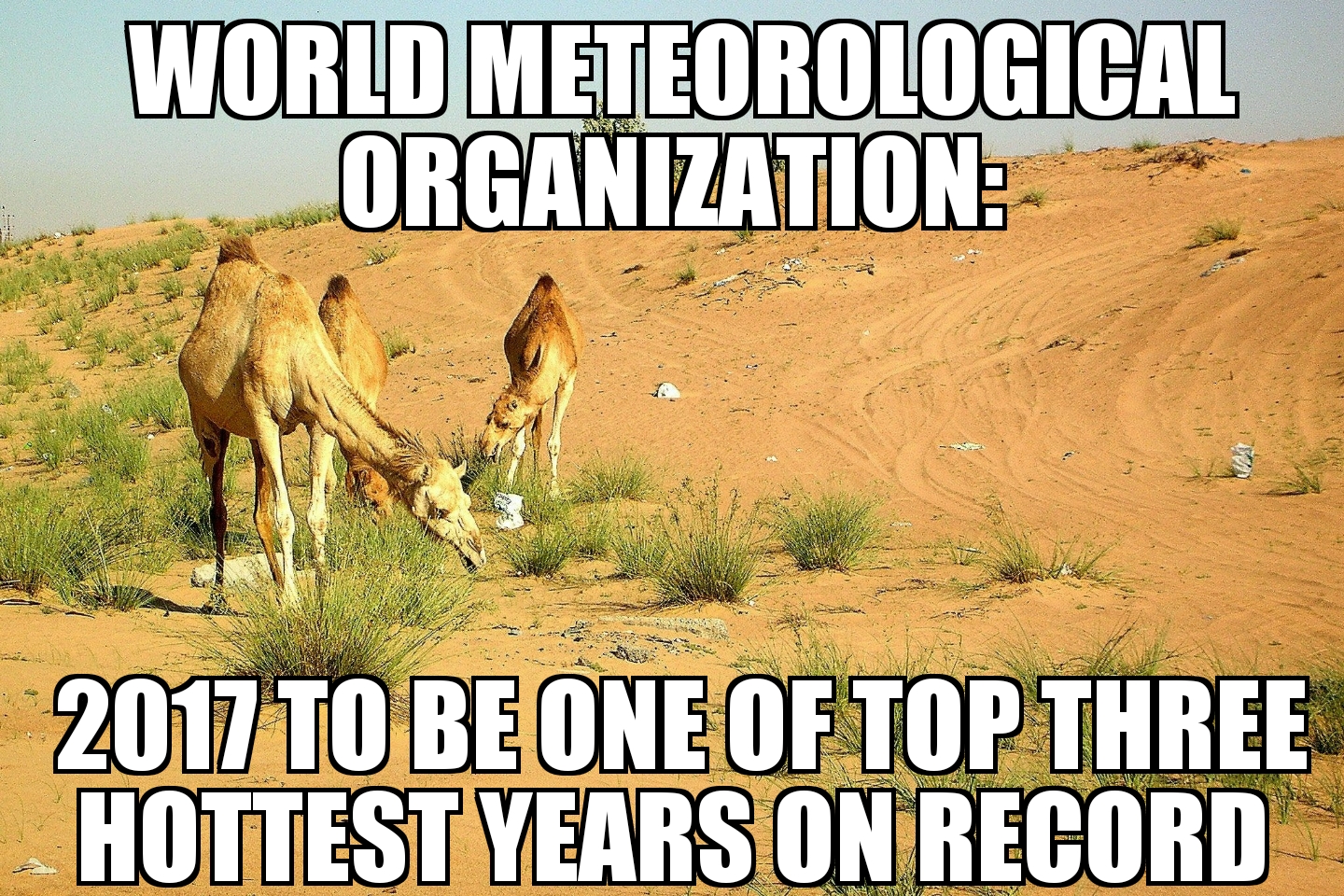 2017 one of top three hottest years