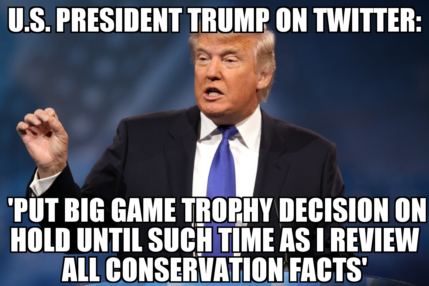 Trump puts big game trophy decision on hold