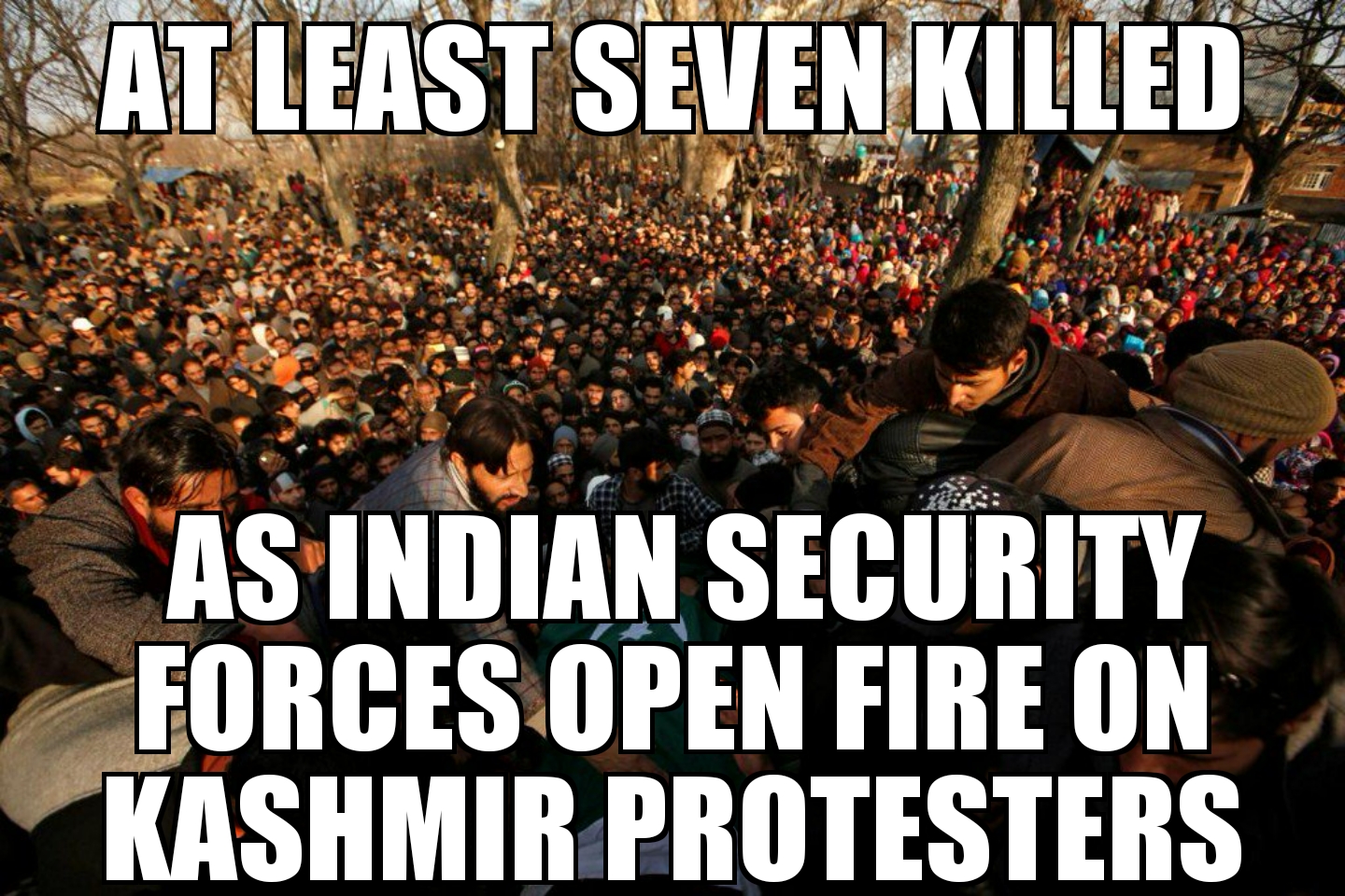 Seven killed in Kashmir