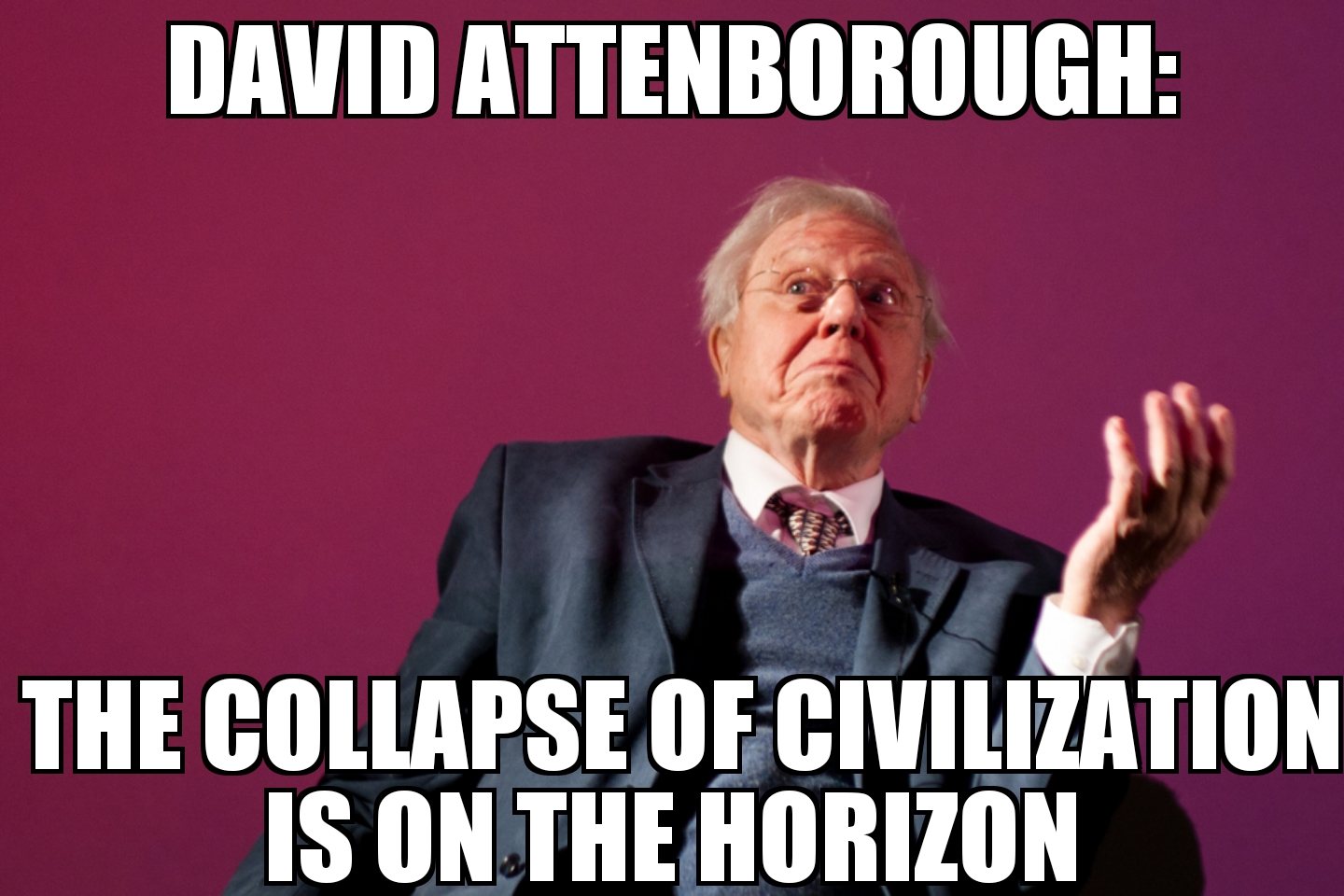 David Attenborough warns of collapse of civilization