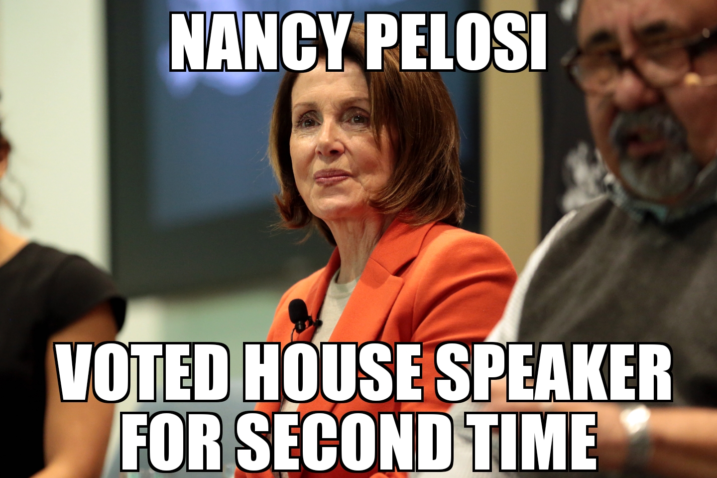 Nancy Pelosi voted House Speaker
