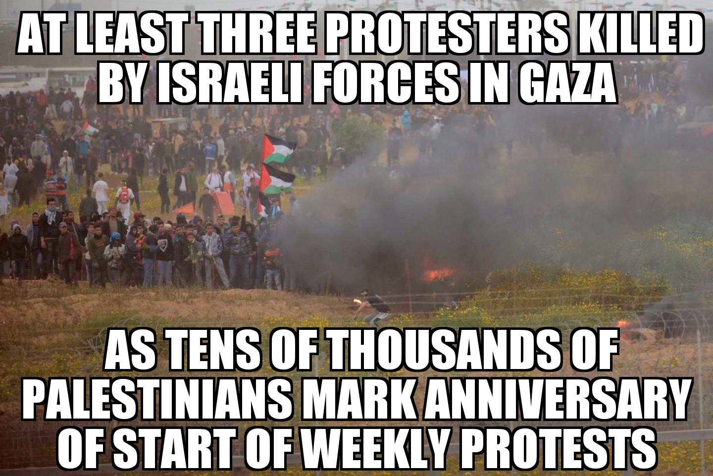 Palestinians killed in Gaza protests