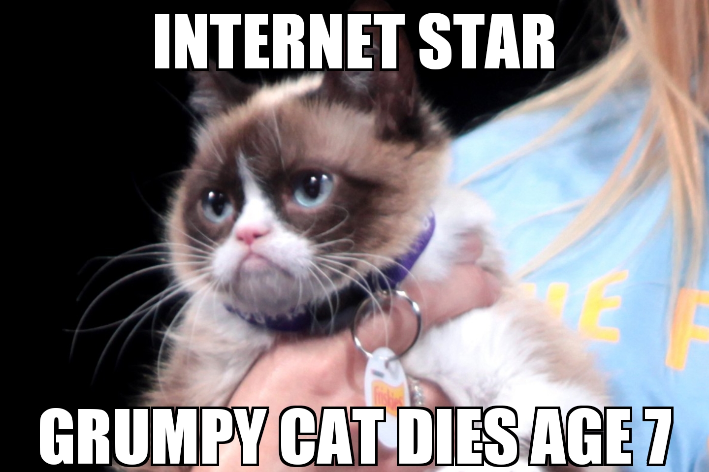 Grumpy Cat dies