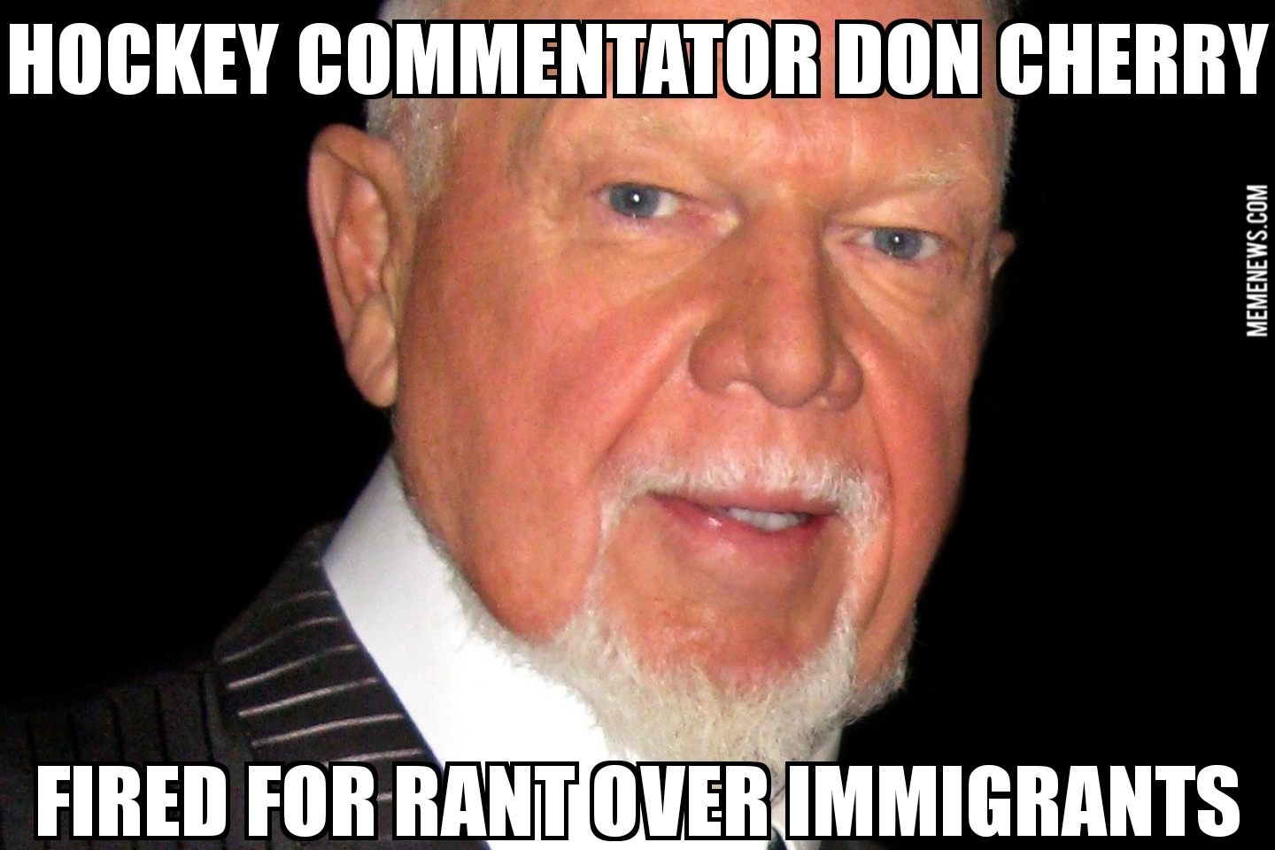 Hockey announcer Don Cherry fired for rant over immigrants