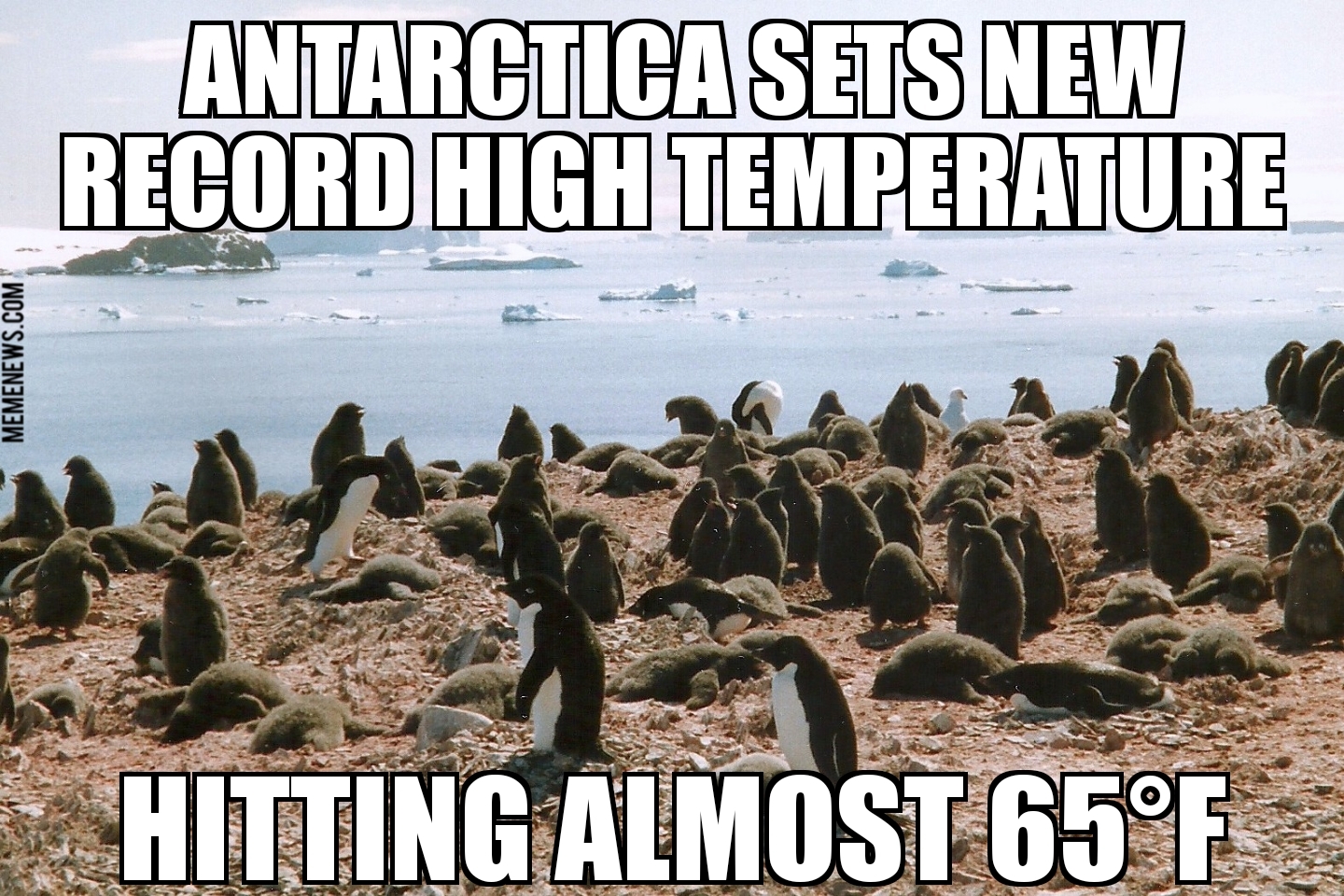 Antarctica sets new record high temperature