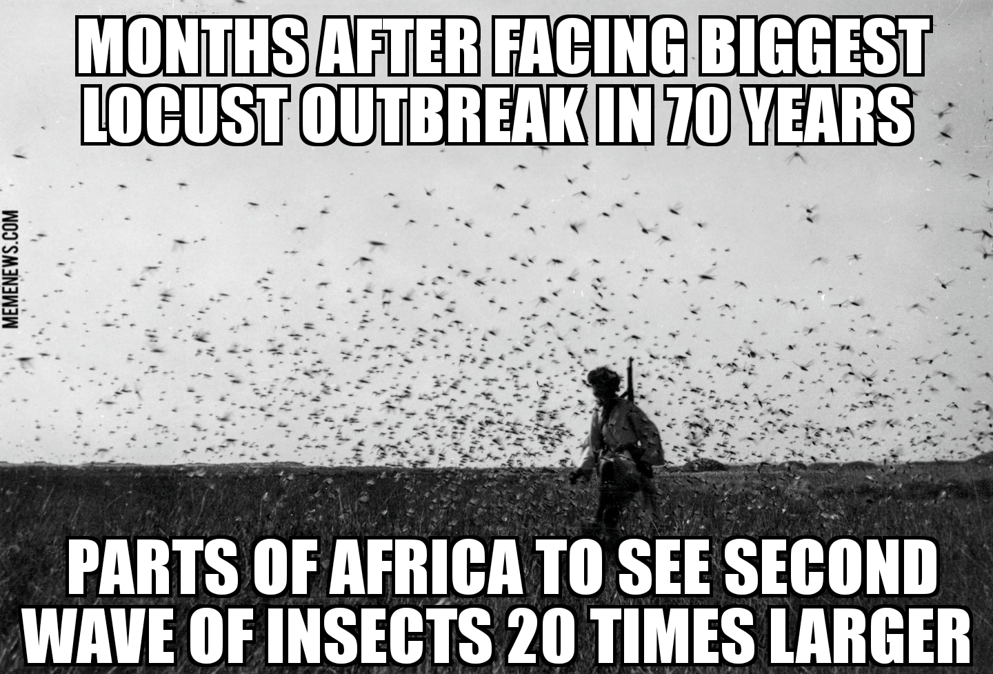 Africa facing second locust wave