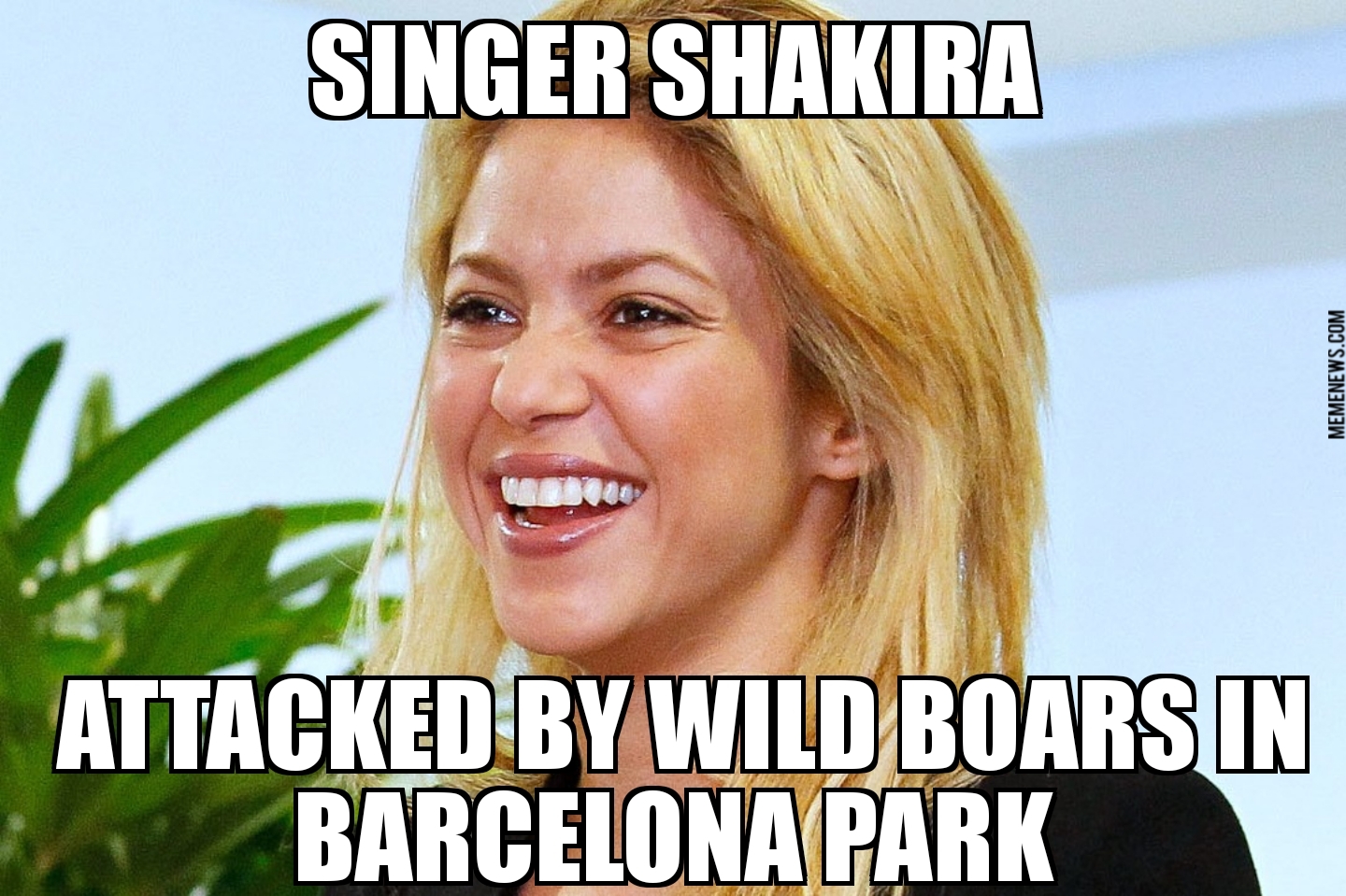 Shakira attacked by boars