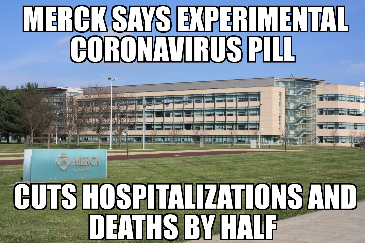 Coronavirus pill cuts deaths