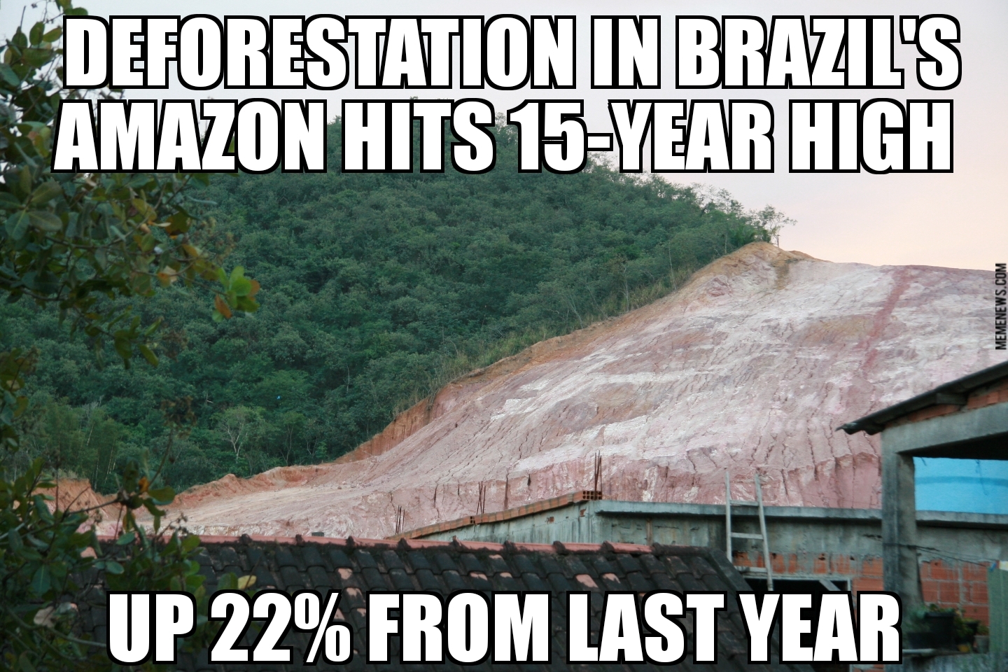 Brazil deforestation rises