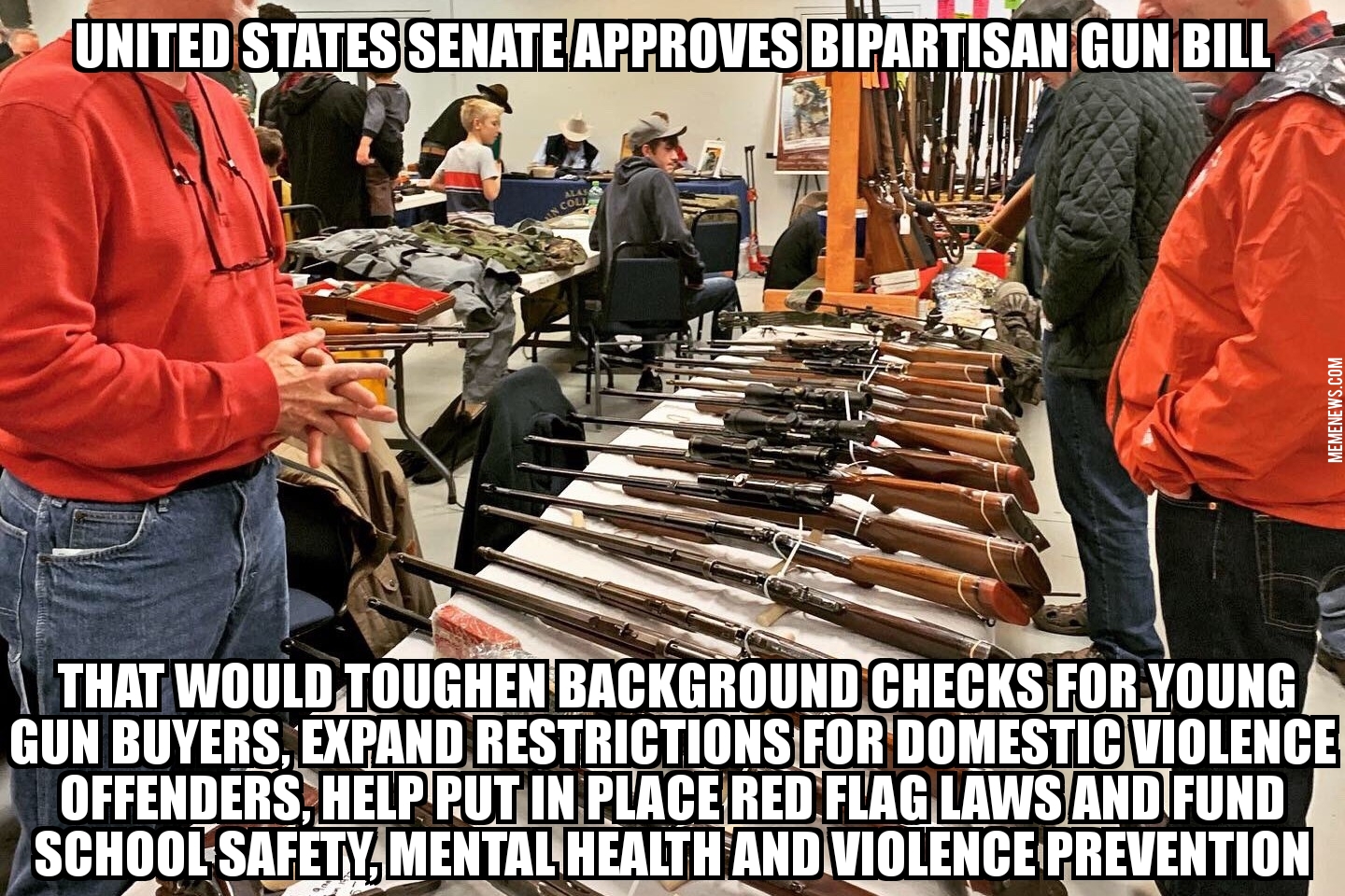 Senate passes gun bill