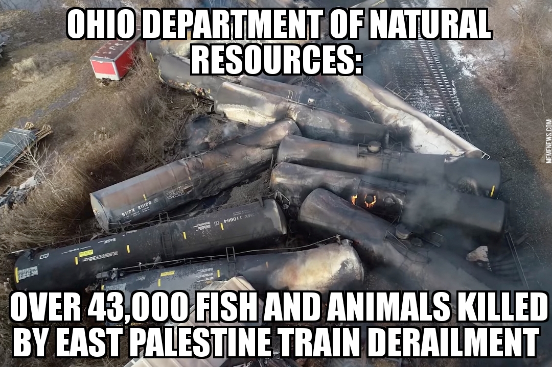 43,000 animals killed in East Palestine train derailment