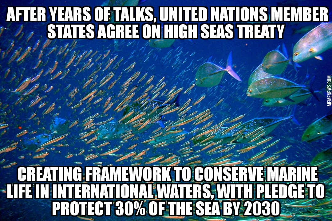 United Nations approves High Seas Treaty