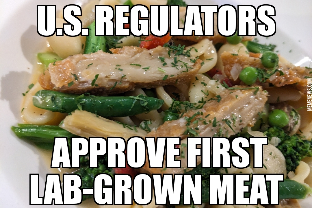 Lab-grown meat approved in US