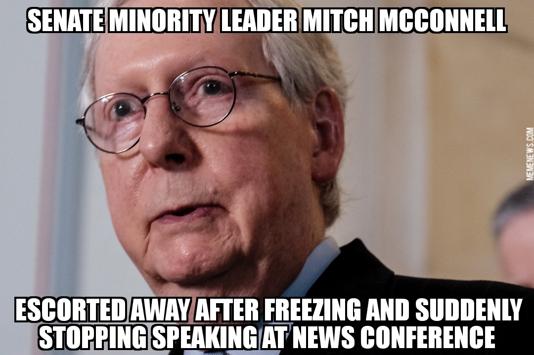 Mitch McConnell freezes at news conference