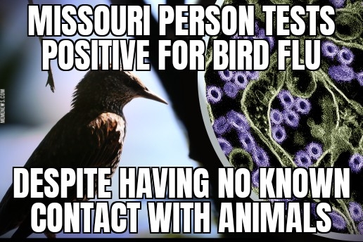 Missouri bird flu outbreak