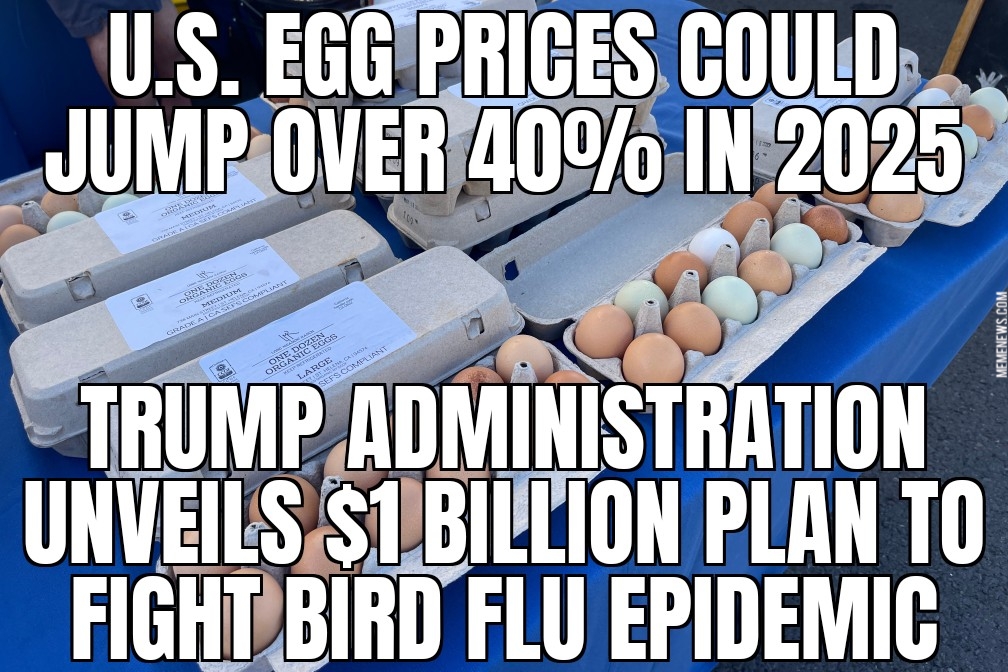 Egg prices to keep going up