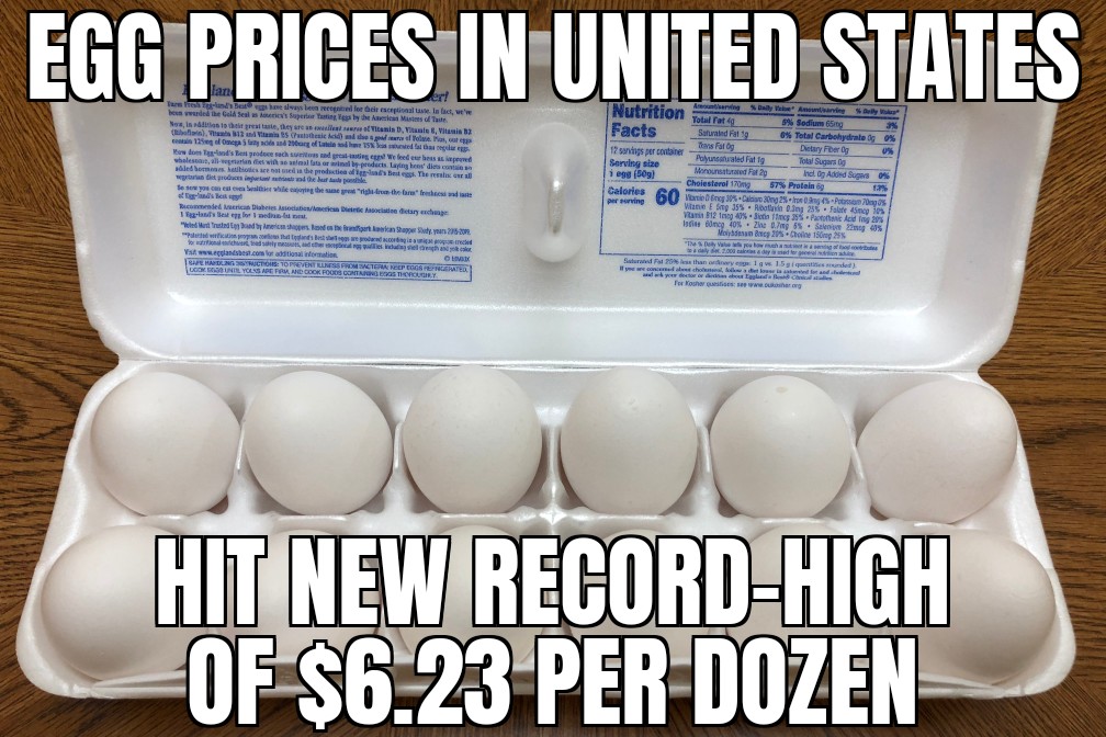 Eggs hit new record high