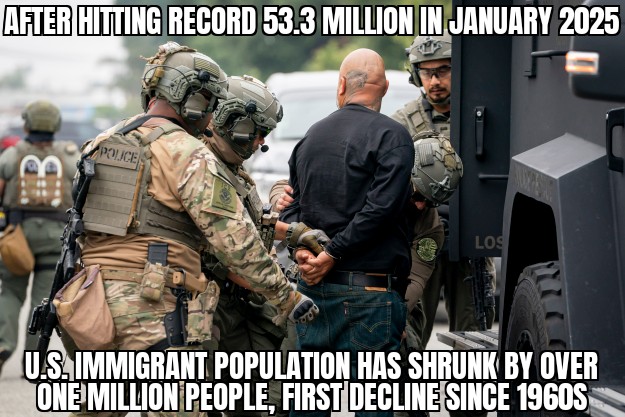 U.S. immigrant population declines