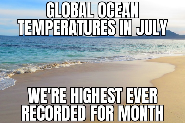 Record July ocean temperatures