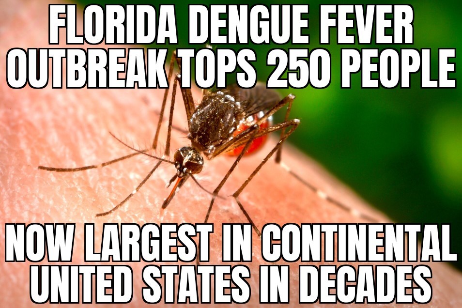 Florida Dengue Fever outbreak